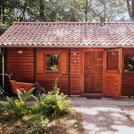 Sfeervolle Blokhut Met Fijne Buitenruimte @ Veluwe Epe Exteriér fotografie