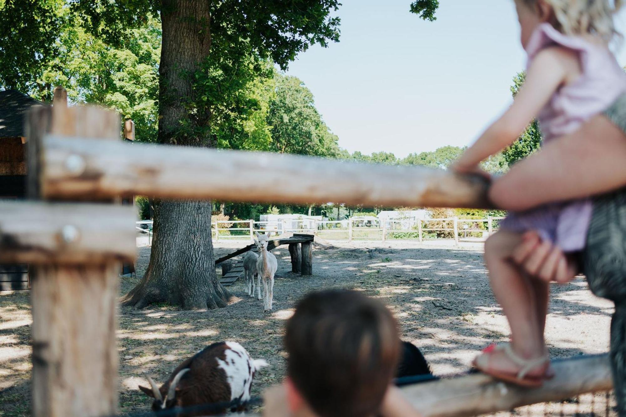 Sfeervolle Blokhut Met Fijne Buitenruimte @ Veluwe Epe Exteriér fotografie